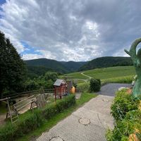   at Försters Weinterrassen in Ahrweiler