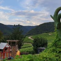 Stunning views at Försters Weinterrassen in Ahrweiler