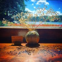 Cozy escape  at The Moth Coffeehouse in Allentown