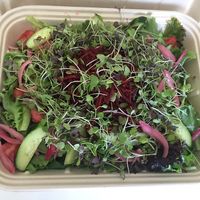 "Beat the heat" catering bowl. at Laney & Lu in Exeter