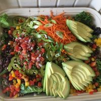 Festa catering bowl. at Laney & Lu in Exeter