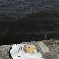 Panini and blueberry muffin at Coffifee in Stralsund