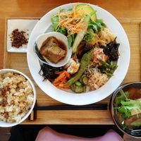 Mixed plate with miso soup and rice at Gomacro in Kyoto