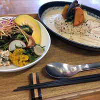 Curry with rice and salad at Gomacro in Kyoto