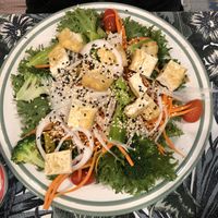 Make your own salad at Qcumber in Khao Lak