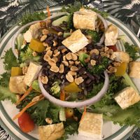 Make your own salad  at Qcumber in Khao Lak