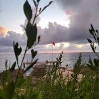 The view at Vivo Cafe & Restaurant in West Bay