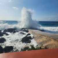 Waves at Vivo Cafe & Restaurant in West Bay