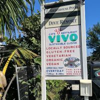 Vivo at Vivo Cafe & Restaurant in West Bay