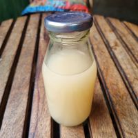Ginger beer at Terrasen Cafe in Hyderabad