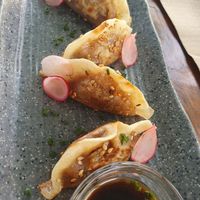 Gyozas at BuenaVida Vegan in Tenerife