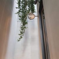 outside  at 8ablish in Tokyo