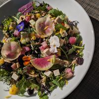 Buddha bowl at 8ablish in Tokyo