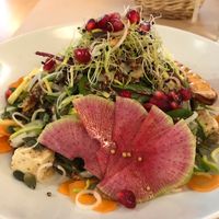 Salad main course at Le Potager de Charlotte in Paris