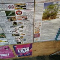 hey at Oracles Organic in South West London