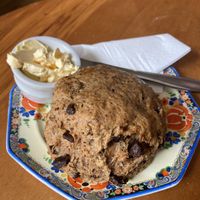 Vegan date scone   at Potpourri Vegetarian Cafe in Dunedin