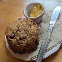 Date Scone at Potpourri Vegetarian Cafe in Dunedin