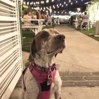 Nice ambiance and everyone was so welcoming to our baby girl! at Little Pine in Los Angeles