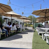   at Little Pine in Los Angeles