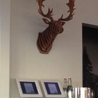 Little Pine vegan mounted buck head :-) at Little Pine in Los Angeles