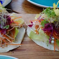 Mushroom Tacos at The Glass Den in Coburg