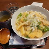 Kizami-Udon at Rokumeien in Nara