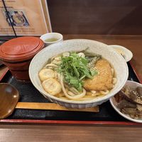 There is another dish behind the big bowl of udon. It was some radish I believe and a second little item of veggies with soy sauce. The red bowl was the rice    at Rokumeien in Nara