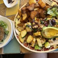   at Dancing Avocado in Daytona Beach