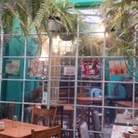 charming little courtyard at Narciso Vegano in Mexico City