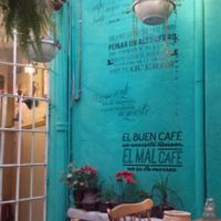 charming little courtyard  at Narciso Vegano in Mexico City