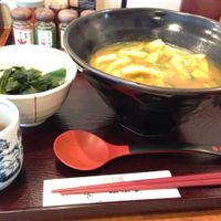 Curry flavoured udon noodles with small chunks of tofu :) at Mimikou in Kyoto