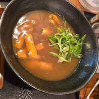 Curry ramen with Tofu (vegetarian) at Mimikou in Kyoto