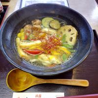 This is the Vegetarian udon. at Mimikou in Kyoto