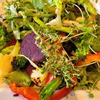  at GreenFare Organic Cafe in Herndon