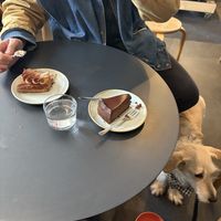   at Kaf in Copenhagen