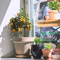 Corner of the café. at Kaf in Copenhagen