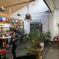 Inside at Lentil As Anything - Thornbury in Thornbury