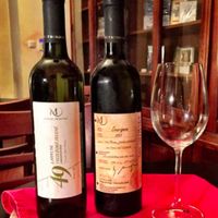 Good wine, good vegetarian and vegan food at Blatouch in Prague