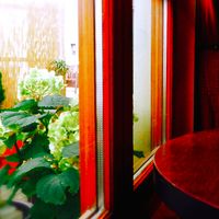 Rear garden, shade, comfort and smoking on request :). Otherwise they do not smoke there. at Blatouch in Prague