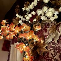   at Blatouch in Prague