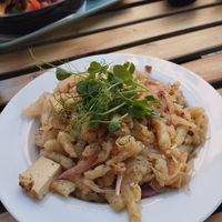 Slovakian Gnocchi with smoked tofu, pickled cabbage (Sauerkraut) and onions. at Blatouch in Prague