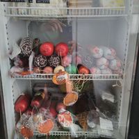 refrigerator at Vegan Day in Kazan