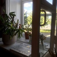 By the window  at Vegan Day in Kazan