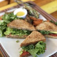 Great sandwich  at Clorofila in Playa Del Carmen