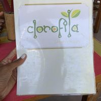 Menu at Clorofila in Playa Del Carmen