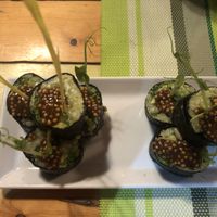 sushi de hummus de chicharo at Clorofila in Playa Del Carmen