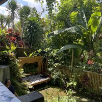   at Bamboo Spirit in Ubud