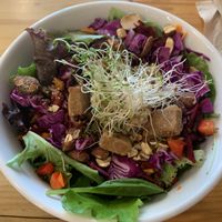 Speech bowl at Right Path Organic Cafe in New London