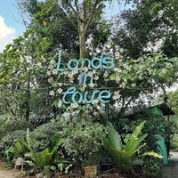 Lands in Love ♡ at Lands in Love - Vegan Hotel & Resort in Alajuela