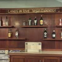   at Lands in Love - Vegan Hotel & Resort in Alajuela